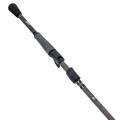 TP2 Rods